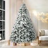 1.8M Snow Flocked Christmas Tree - 468 Tips