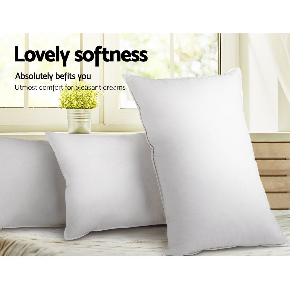 Giselle Bedding Goose Feather Down Pillow Twin Pack - OZ Home Deals