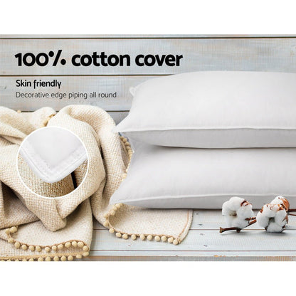 Giselle Bedding Goose Feather Down Pillow Twin Pack - OZ Home Deals